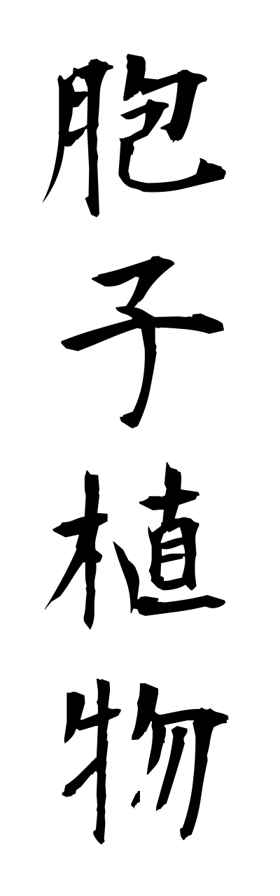 h5/h50056胞子植物houshishokubutsu