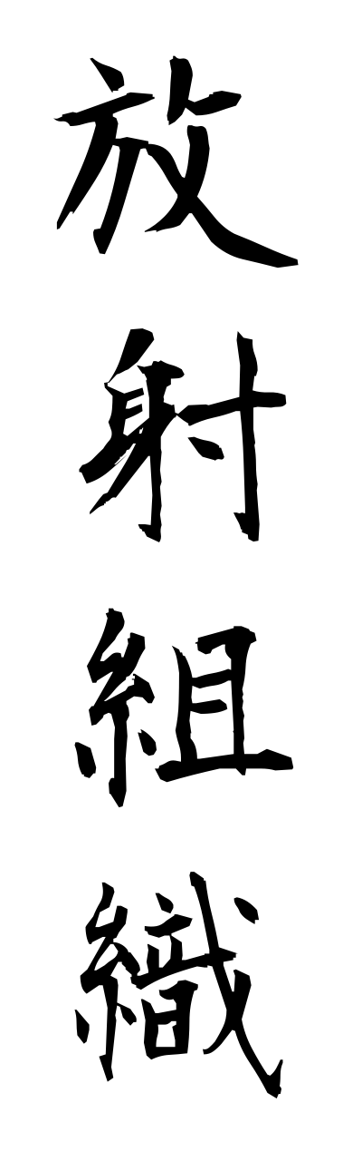 h5/h50068放射組織houshasoshiki