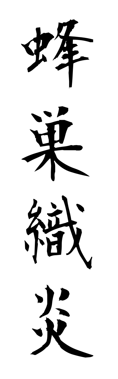 h5/h50089蜂巣織炎housoushikienn