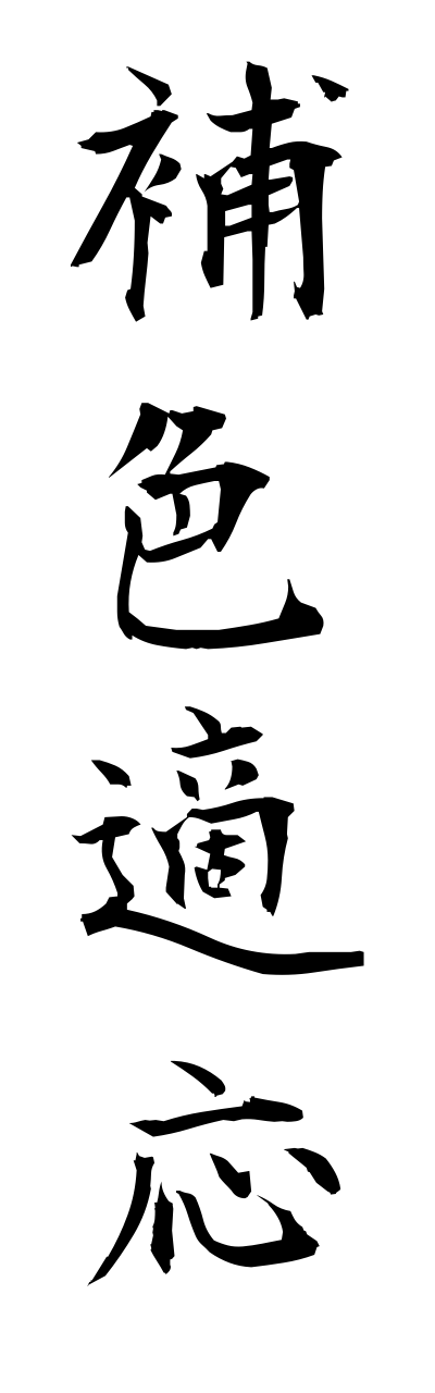 h5/h50239補色適応hoshokutekiou