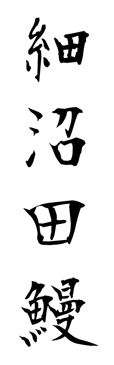 h5/h50256細沼田鰻hosonutaunagi