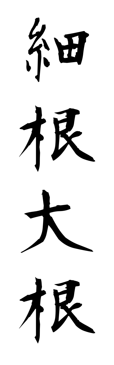 h5/h50257細根大根hosonedaikonn