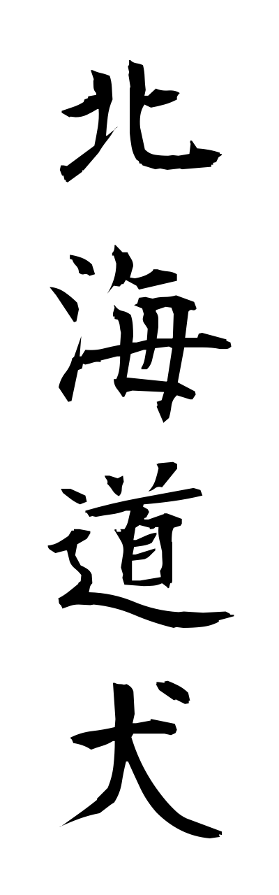 h5/h50263北海道犬hokkaidouinu