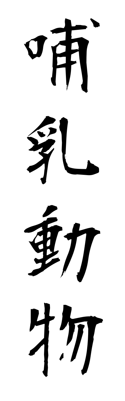 h5/h50280哺乳動物honyuudoubutsu