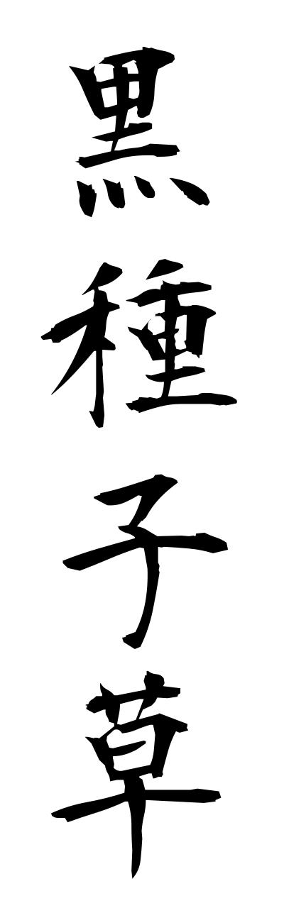 k3/k30156黒種子草kurotanesou