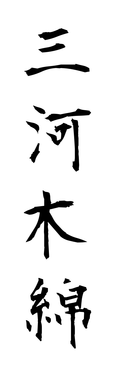 m2/m20019三河木綿mikawamomenn