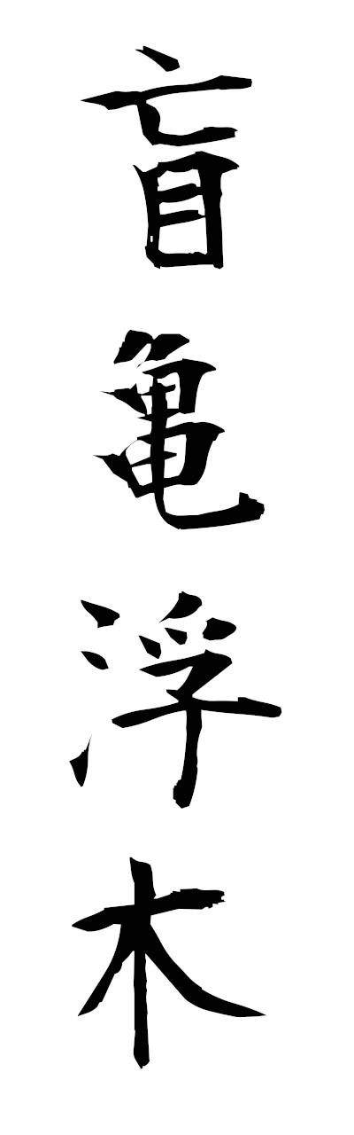 m5/m50062盲亀浮木mokifuboku