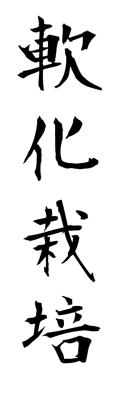 n1/n10153軟化栽培nannkasaibai