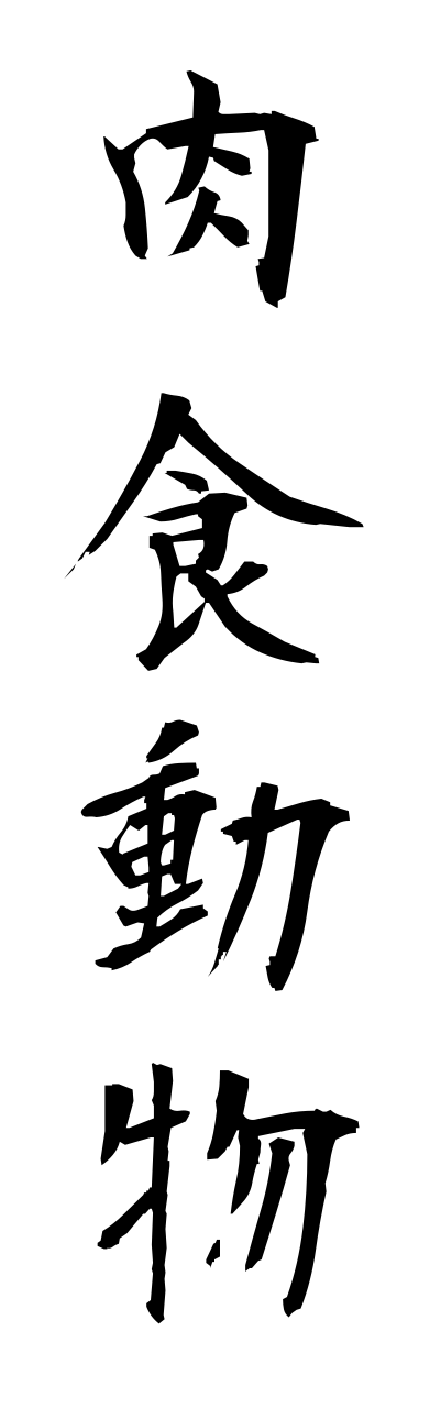 n2/n20020肉食動物nikushokudobutsu