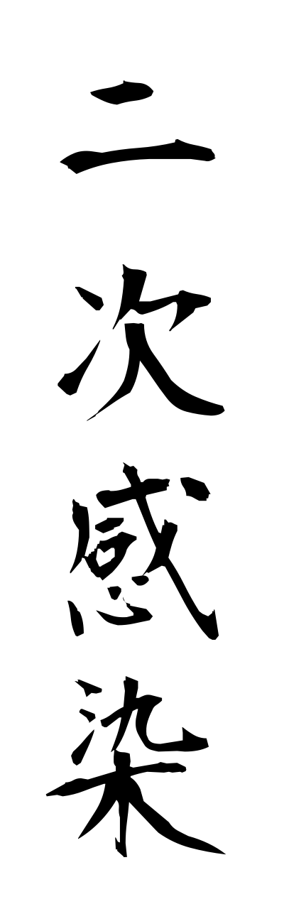 n2/n20034二次感染nijikansen