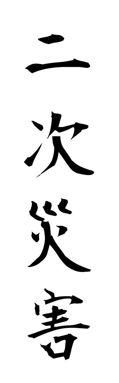 n2/n20040二次災害nijisaigai