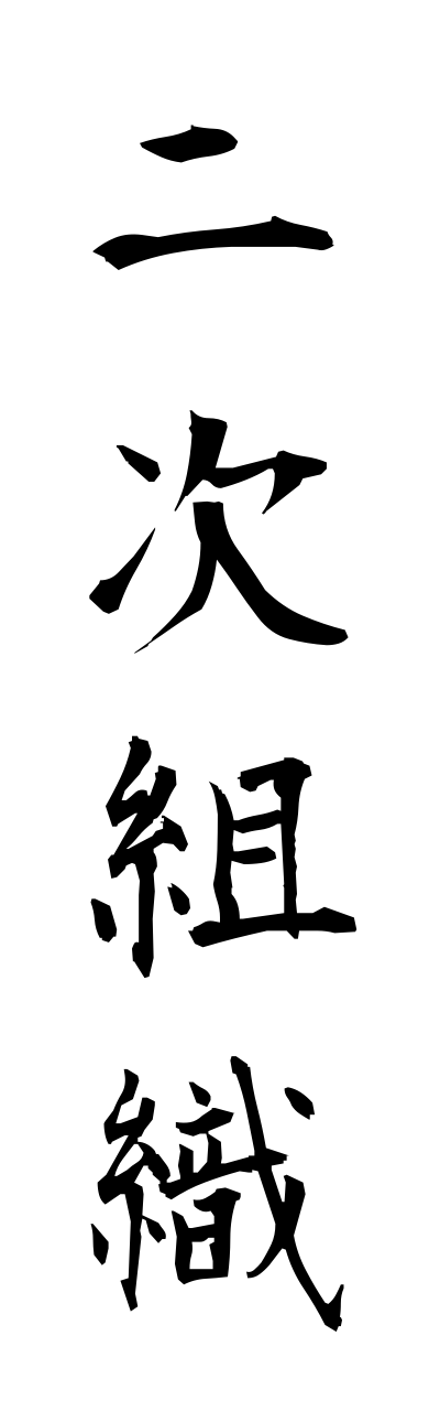 n2/n20043二次組織nijisoshiki