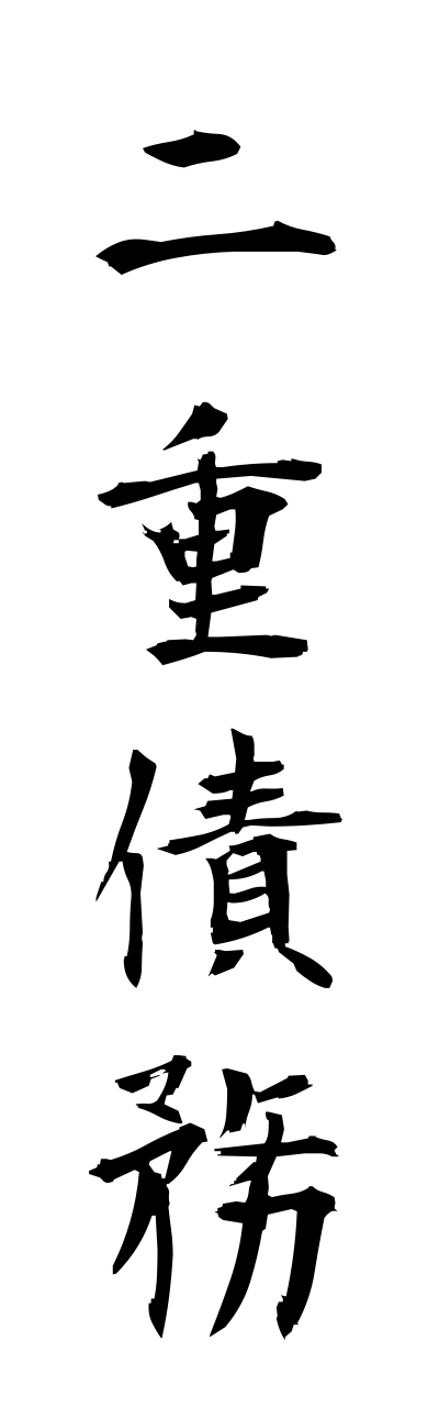 n2/n20066二重債務nijusaimu