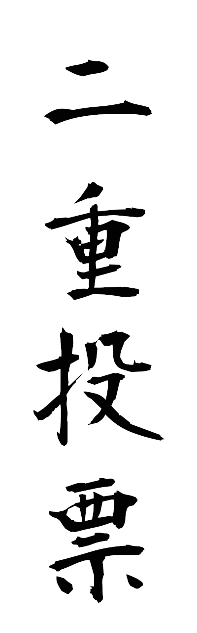 n2/n20074二重投票nijutohyo
