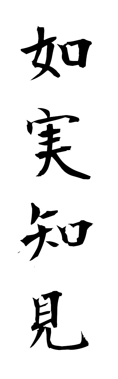 n2/n20099如実知見nyojitsuchiken