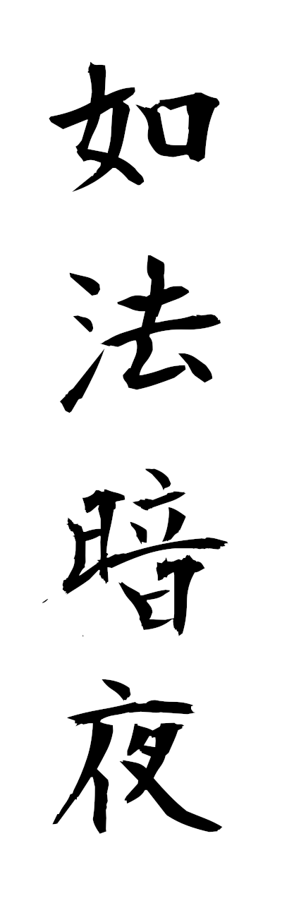 n2/n20101如法暗夜nyohoanya