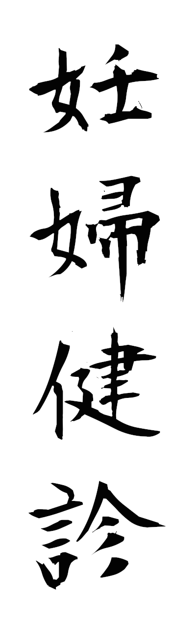 n2/n20108妊婦健診nimpukenshin