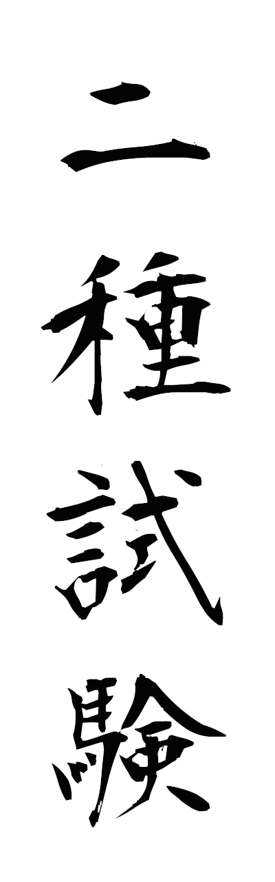 n2/n20158二種試験nishushiken