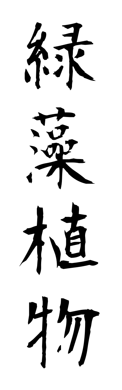 r2/r20181緑藻植物ryokusoushokubutsu
