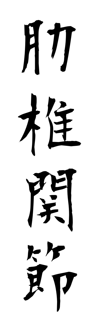 r5/r50058肋椎関節rokutsuikannsetsu