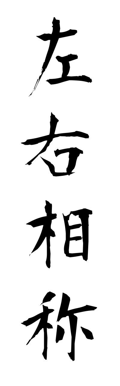s1/s10228左右相称sayuusoushou