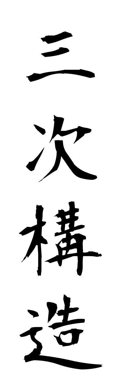 s1/s10317三次構造sannjikouzou