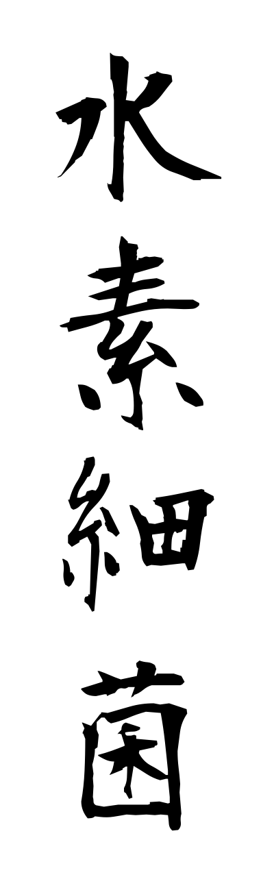 s3/s30058水素細菌suisosaikinn