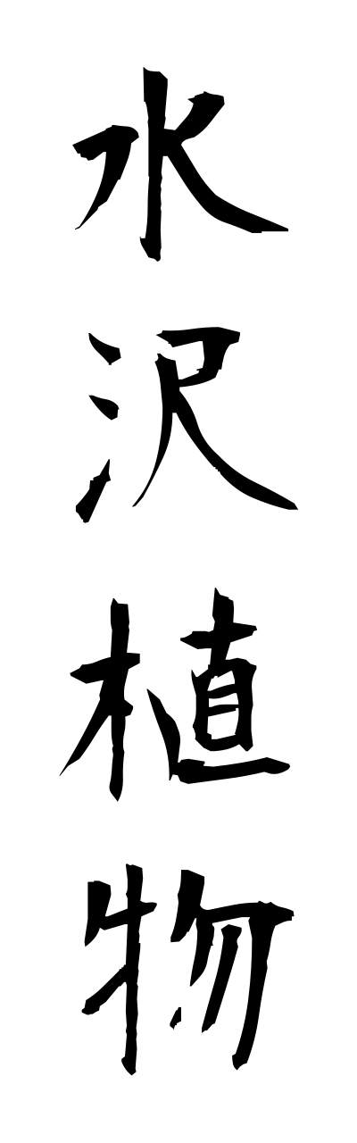 s3/s30065水沢植物suitakushokubutsu