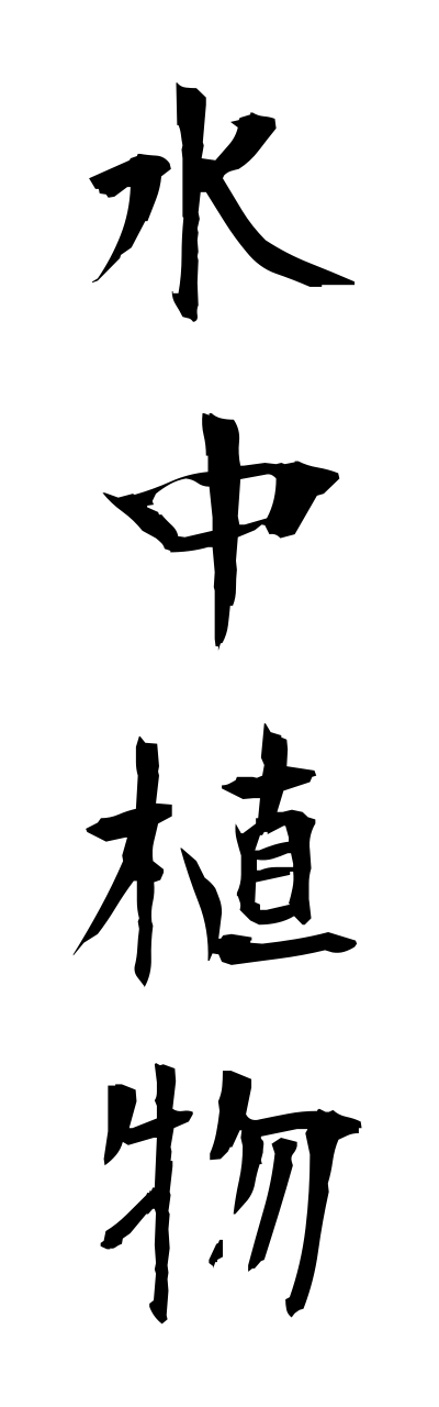 s3/s30066水中植物suichuushokubutsu