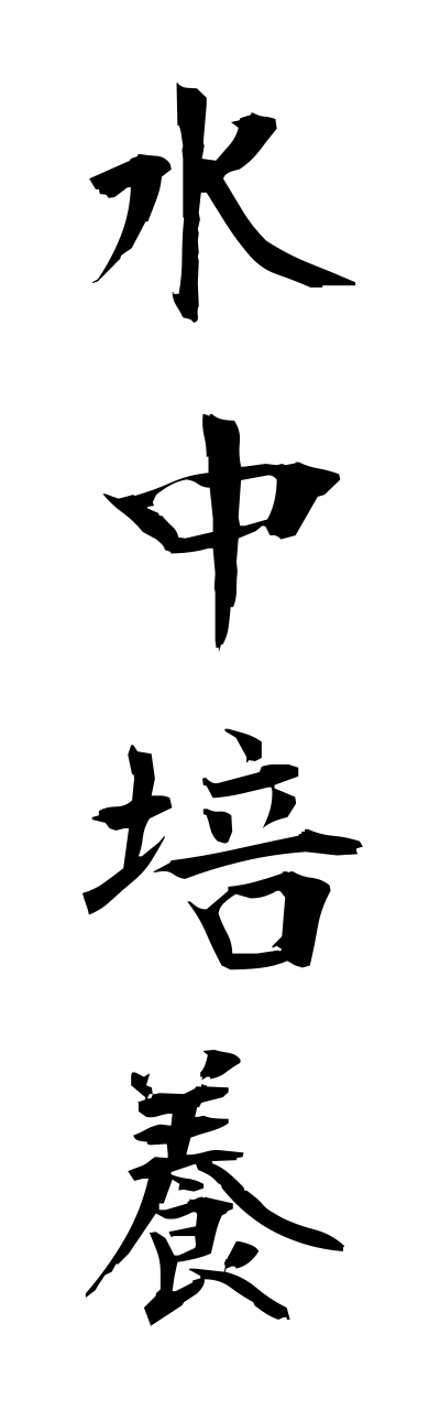 s3/s30067水中培養suichuubaiyou