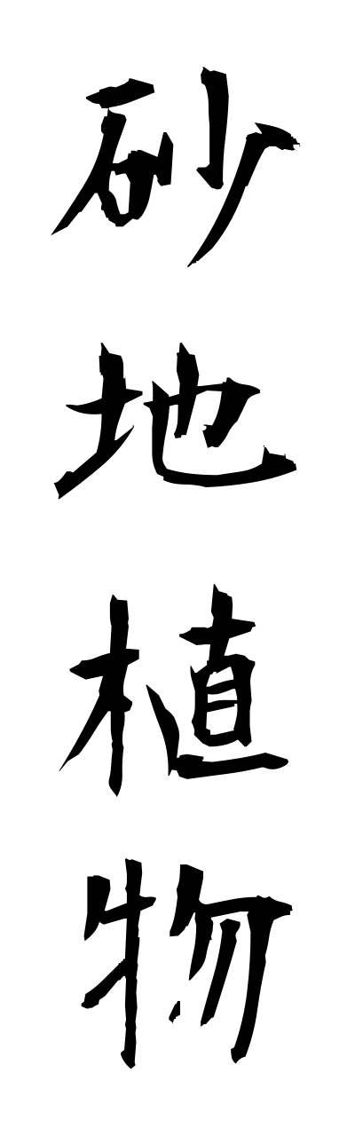 s3/s30133砂地植物sunachishokubutsu