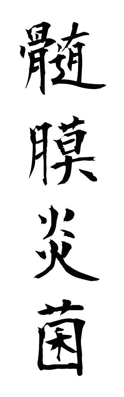 s3/s30155髄膜炎菌zuimakuenkin