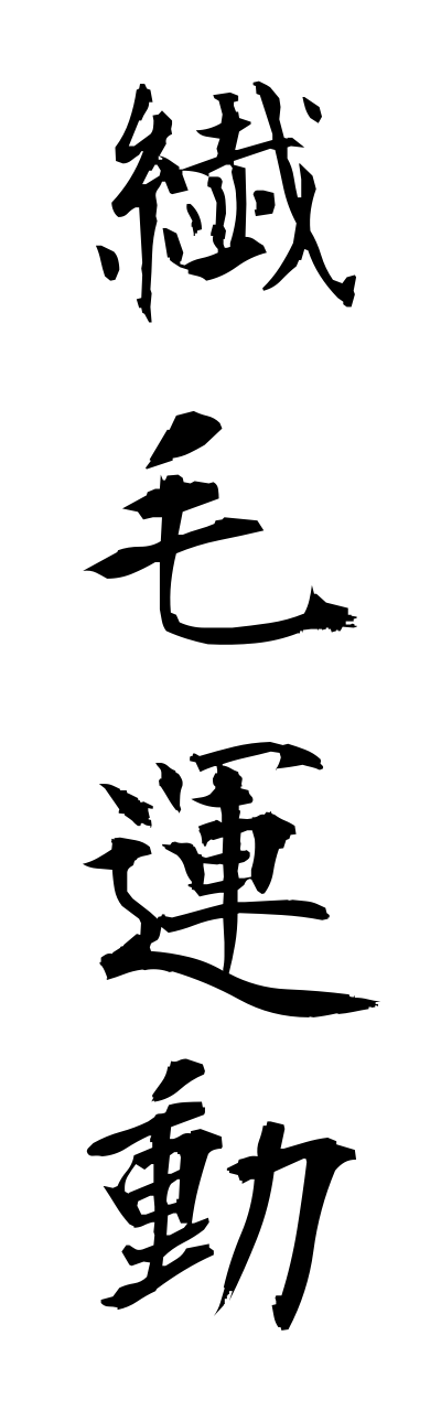 s4/s40711繊毛運動sennmouunndou