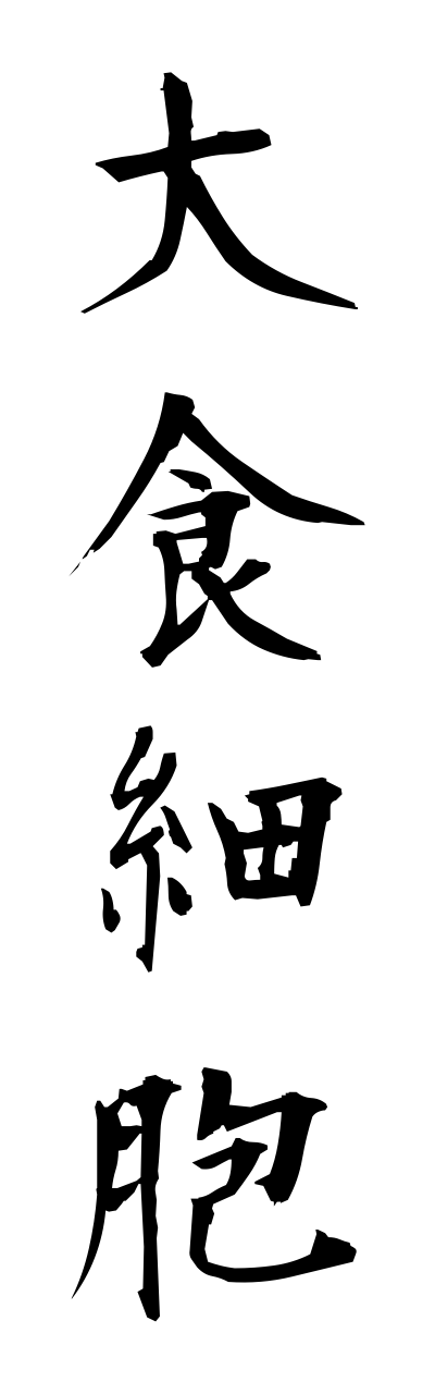 t1/t10109大食細胞taishokusaibou