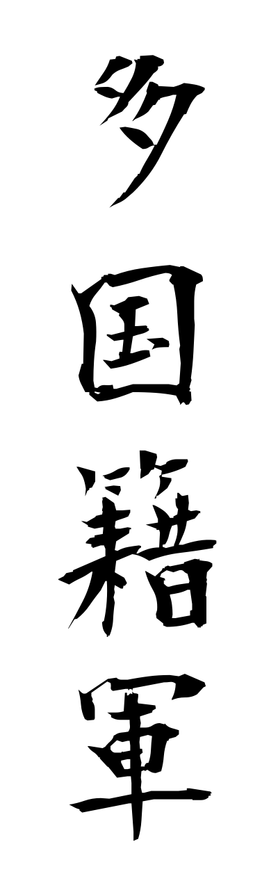 t1/t10248多国籍軍takokusekigunn