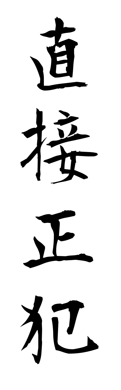 t2/t20448直接正犯chokusetsuseihann