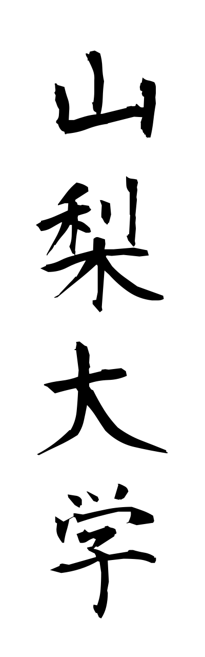y1/y10136山梨大学yamanashidaigaku