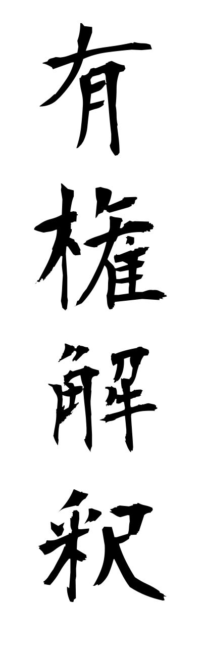 y3/y30056有権解釈yuukennkaishaku