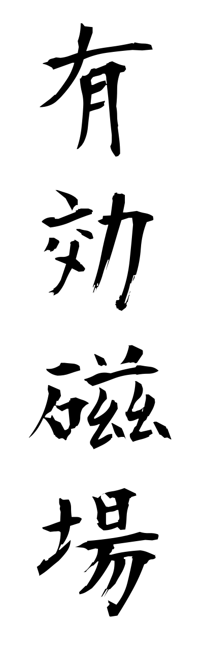 y3/y30066有効磁場yuukoujiba