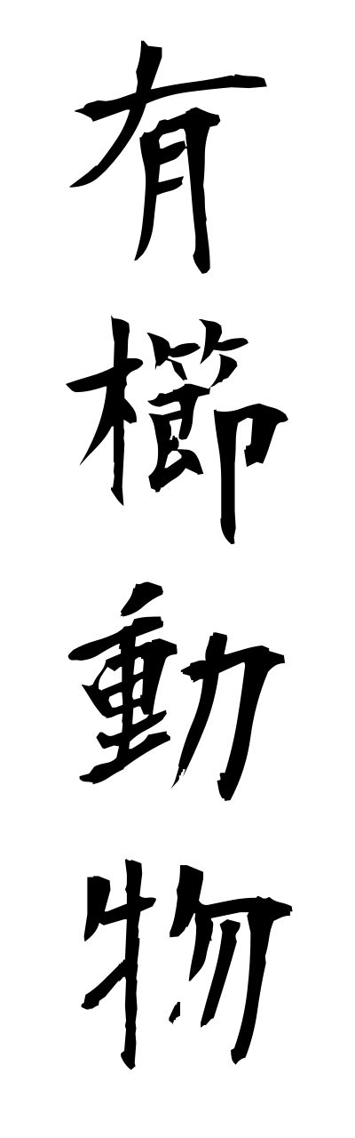 y3/y30077有櫛動物yuushitsudoubutsu