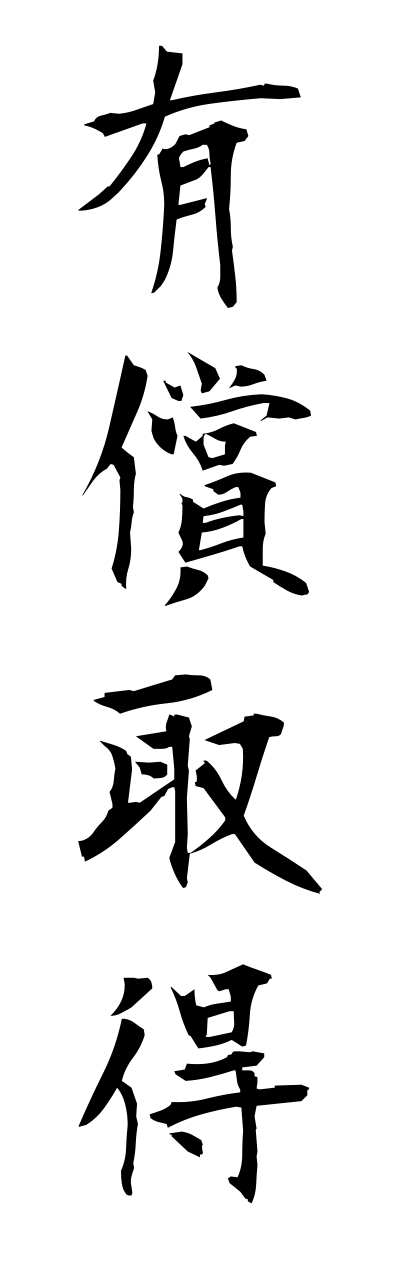 y3/y30085有償取得yuushoushutoku