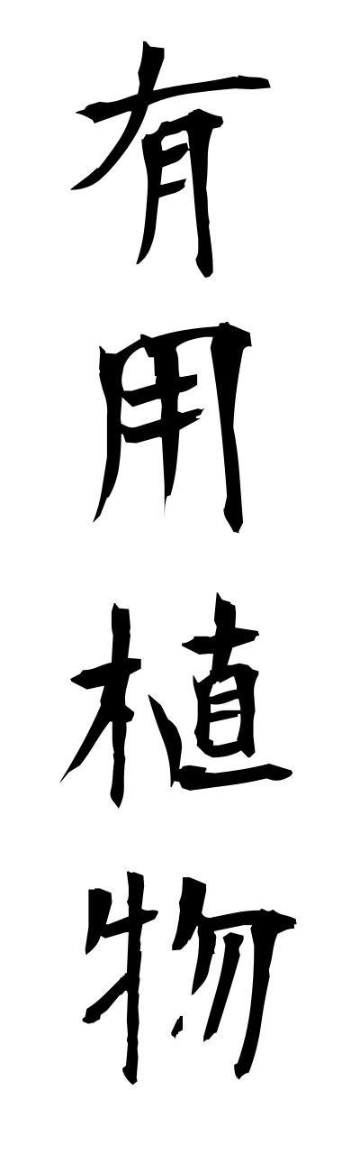 y3/y30153有用植物yuuyoushokubutsu