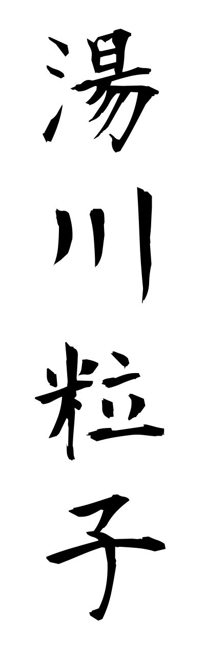 y3/y30171湯川粒子yukawaryuushi
