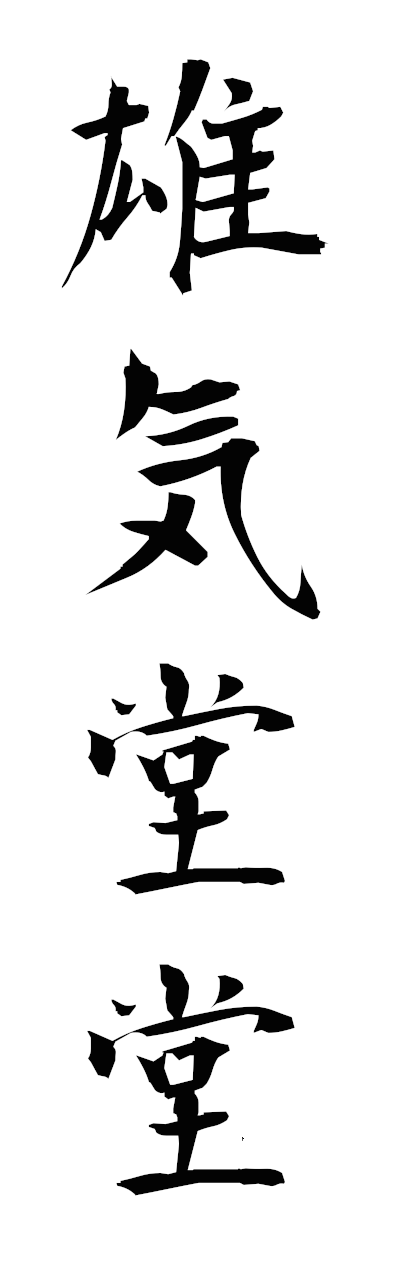 y3/y30230雄気堂堂yukidodo