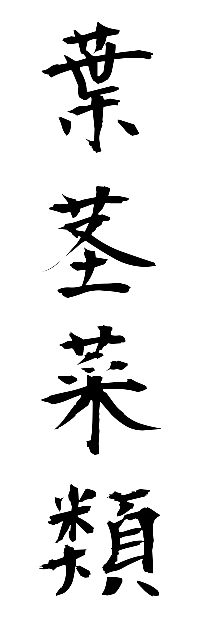 y5/y50018葉茎菜類yoyushakushaku