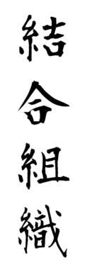 結合組織