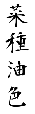 菜種油色