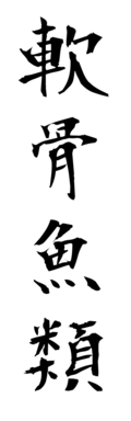 軟骨魚類